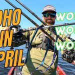 Lake Toho April Fishing Report